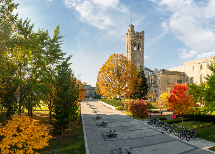 A stoned pathway on campus in front of University College surrounded by autumn coloured trees
